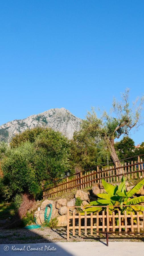 Appartamento Al Boschetto Scario Esterno foto